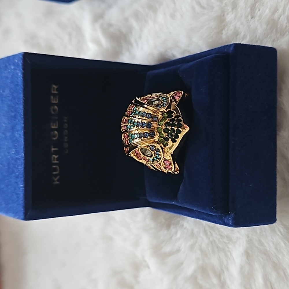 Rainbow Stud Hawk Ring - image 2